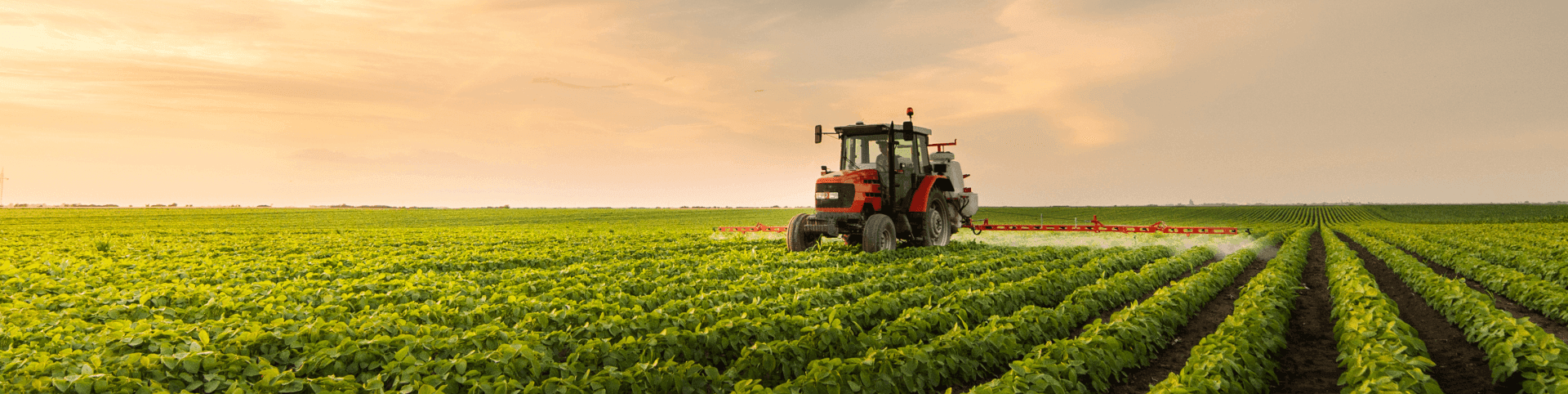 Tractor on delta 8 THC hemp farm